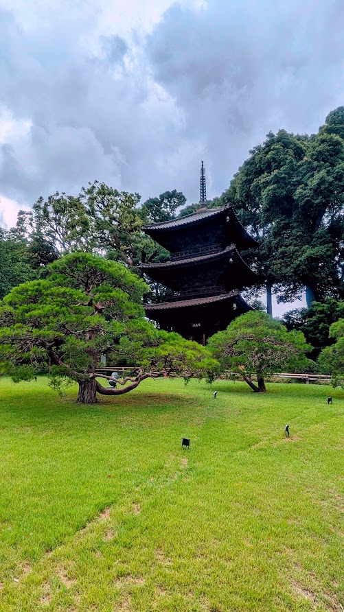 庭園の写真