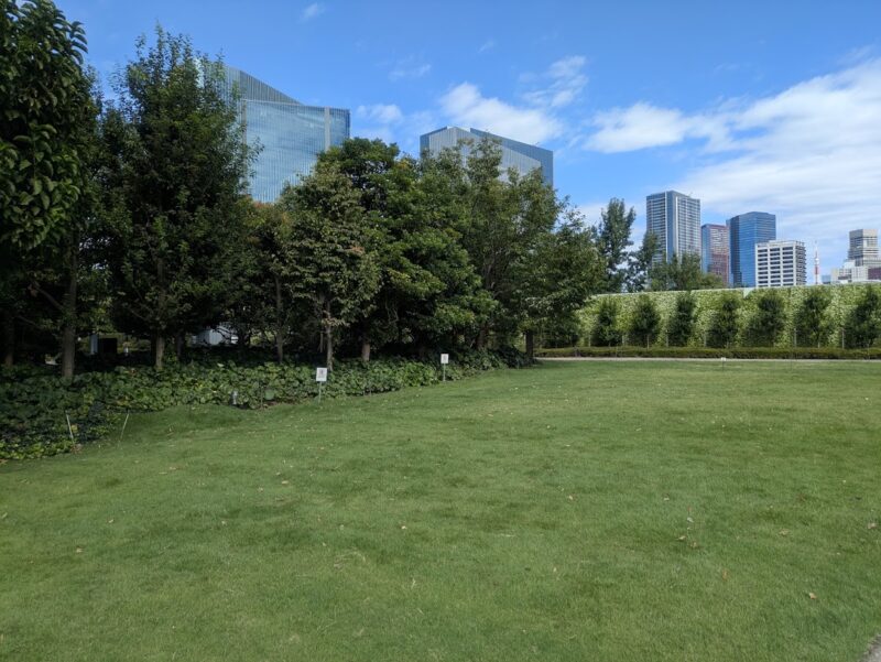 公園の写真
