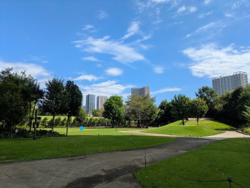 広場の写真