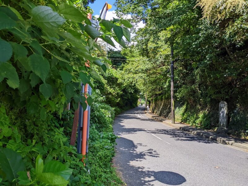路の写真