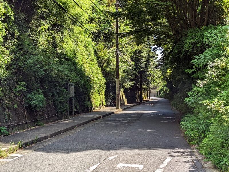 路の写真