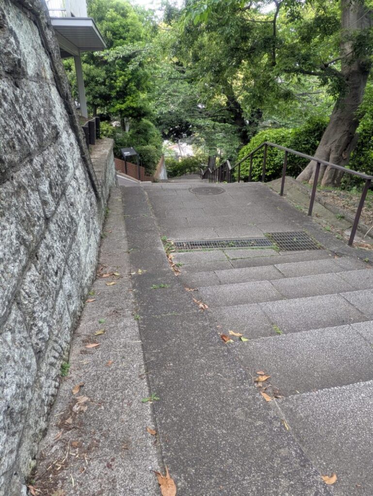 路の写真