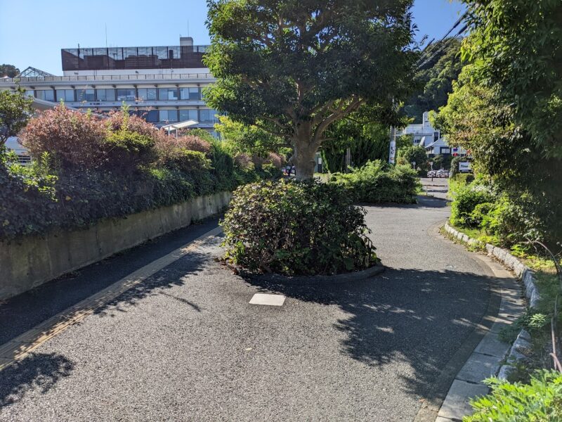 路の写真
