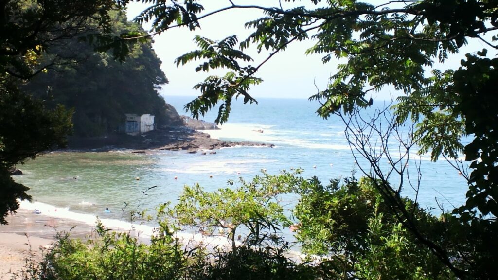海の写真
