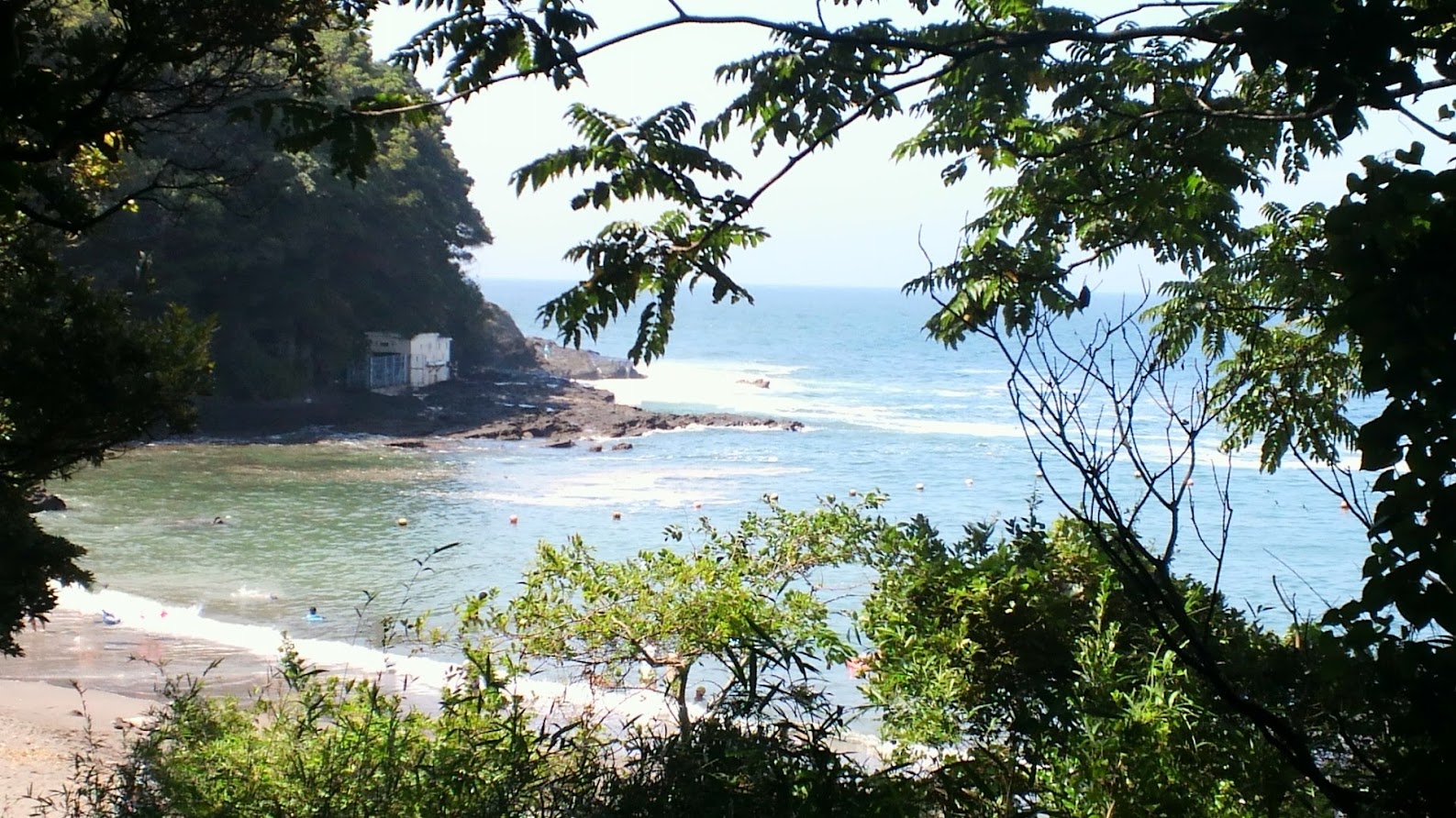 海の写真
