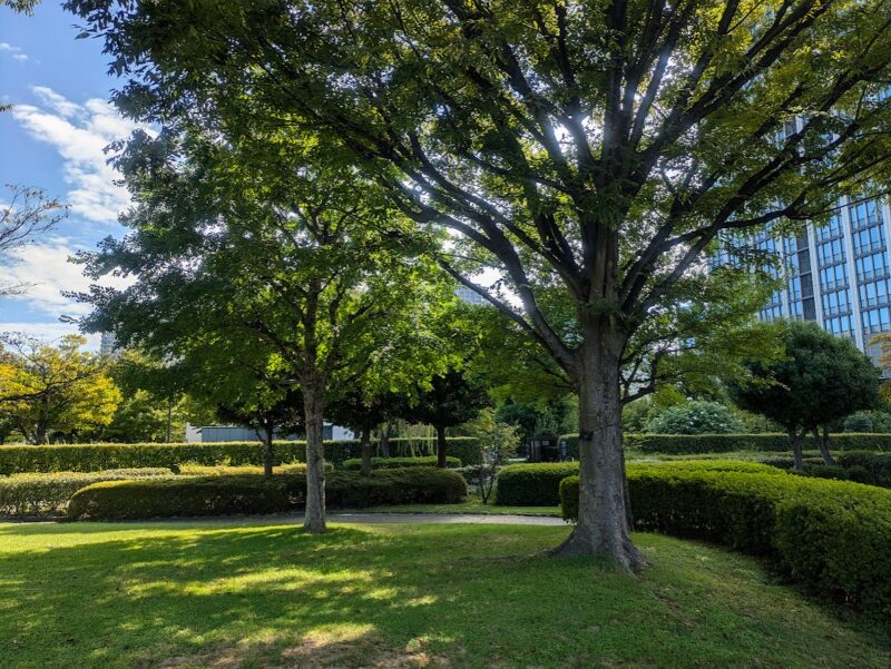 公園の写真