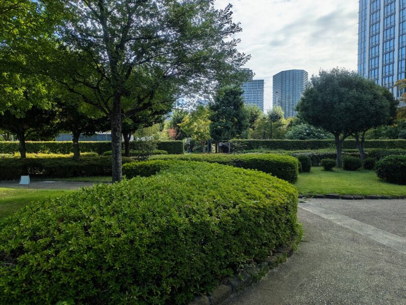 公園の写真