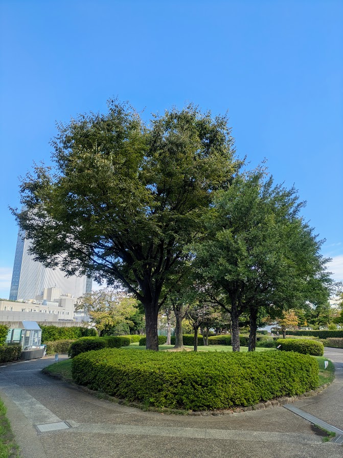 公園の写真