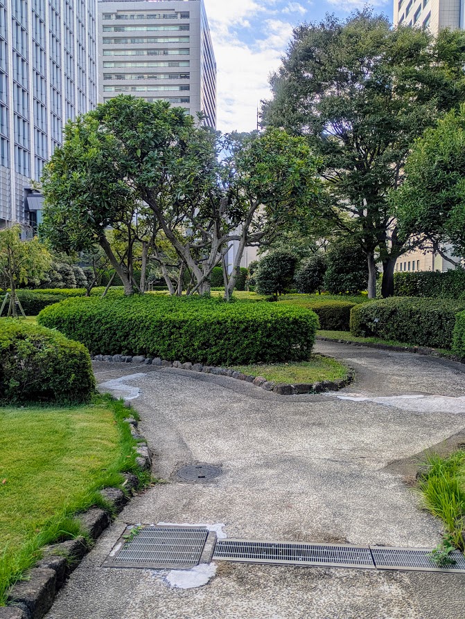 公園の写真