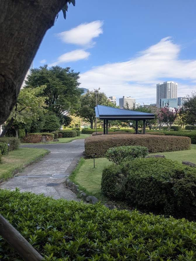 公園の写真