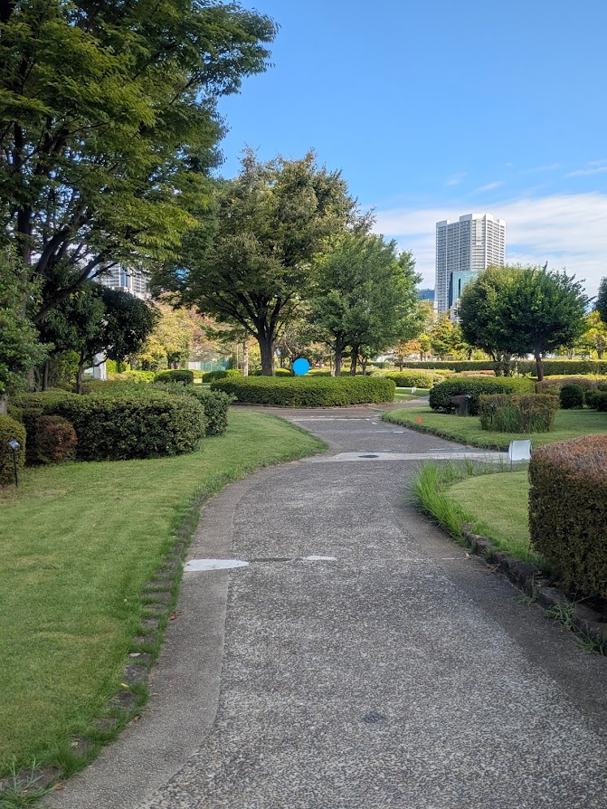 公園の写真