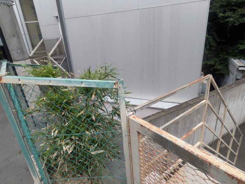 路の写真