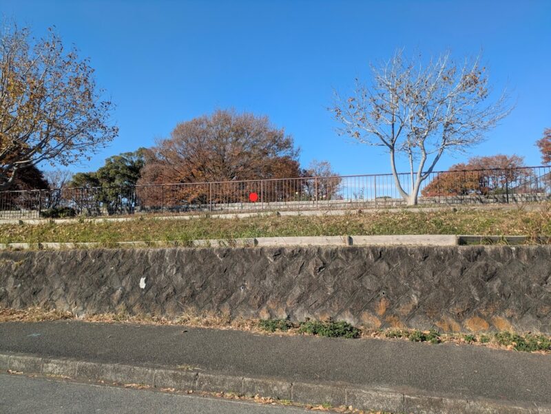 公園の写真