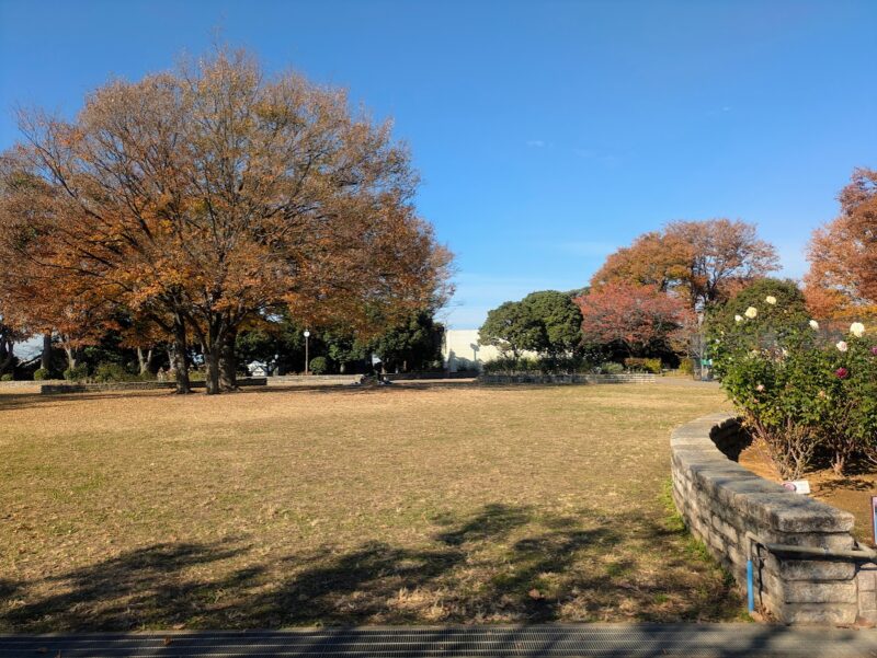 公園の写真