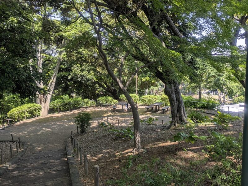 公園の写真