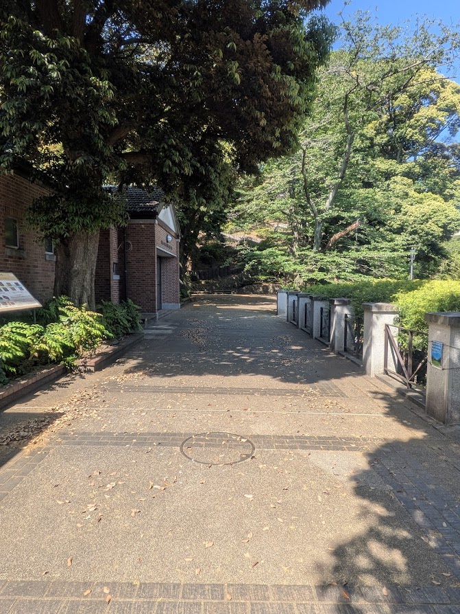 公園の写真