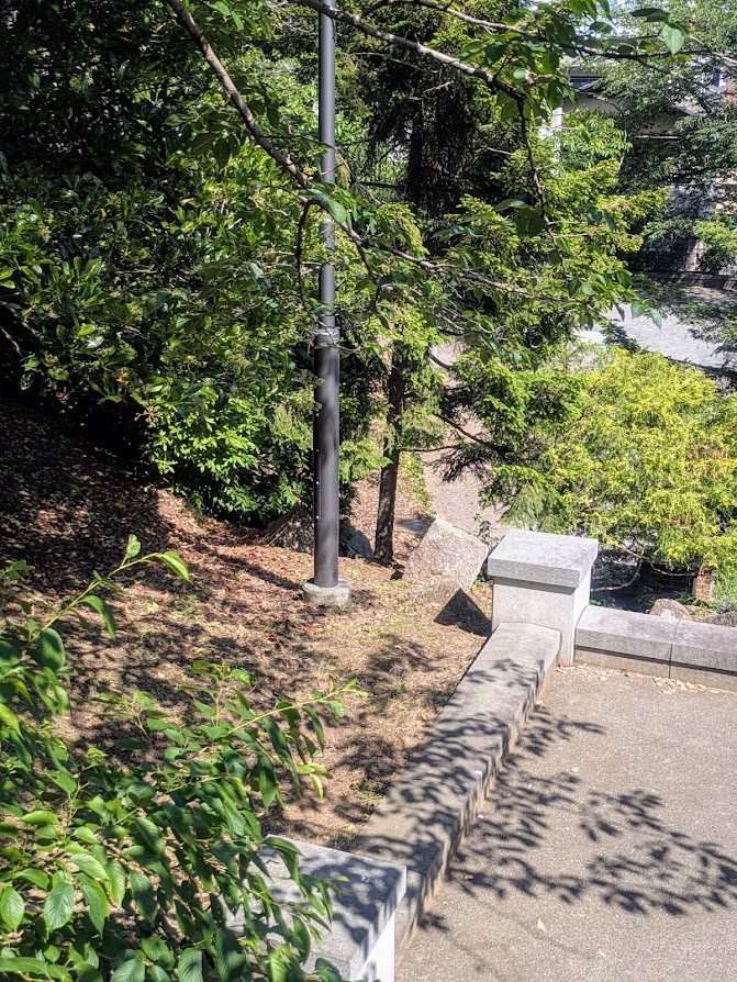 公園の写真