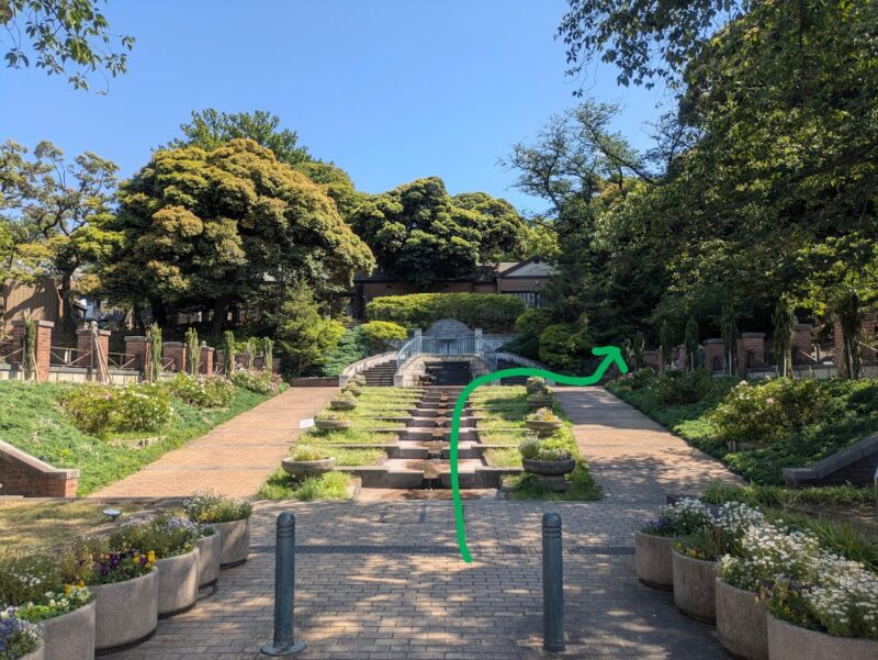 公園の写真
