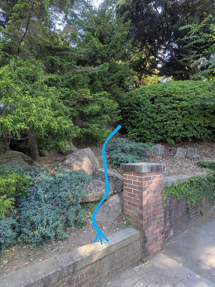 公園の写真