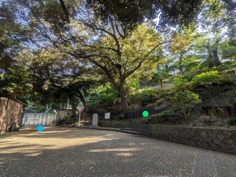 公園の写真