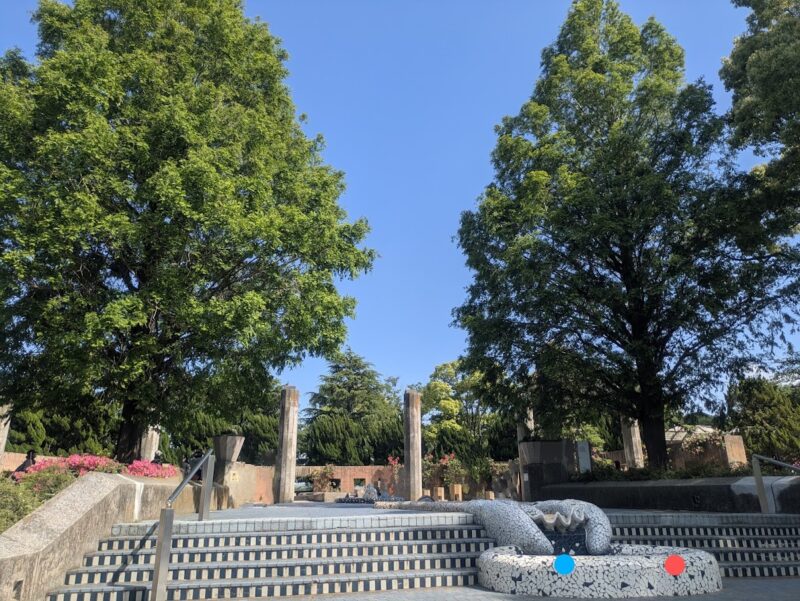 公園の写真