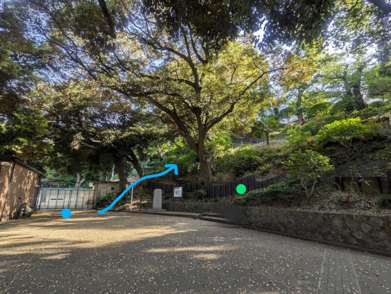 公園の写真