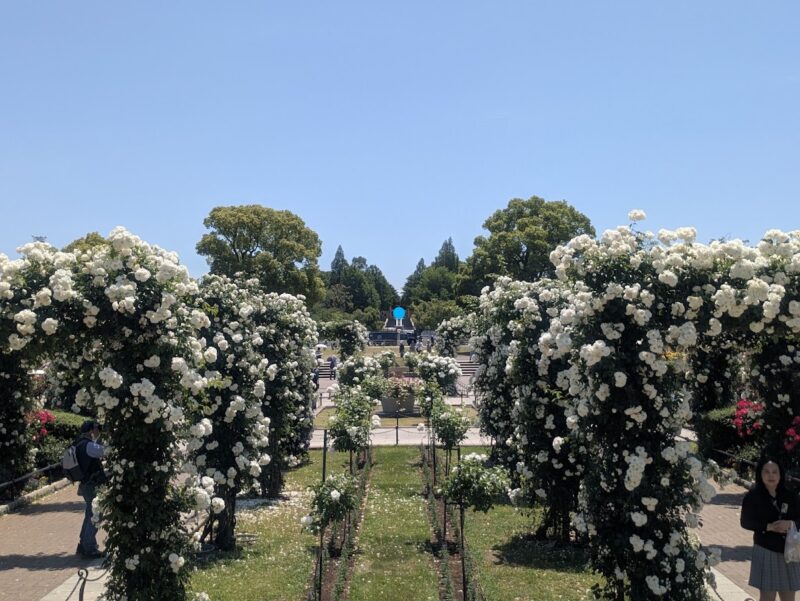 公園の写真