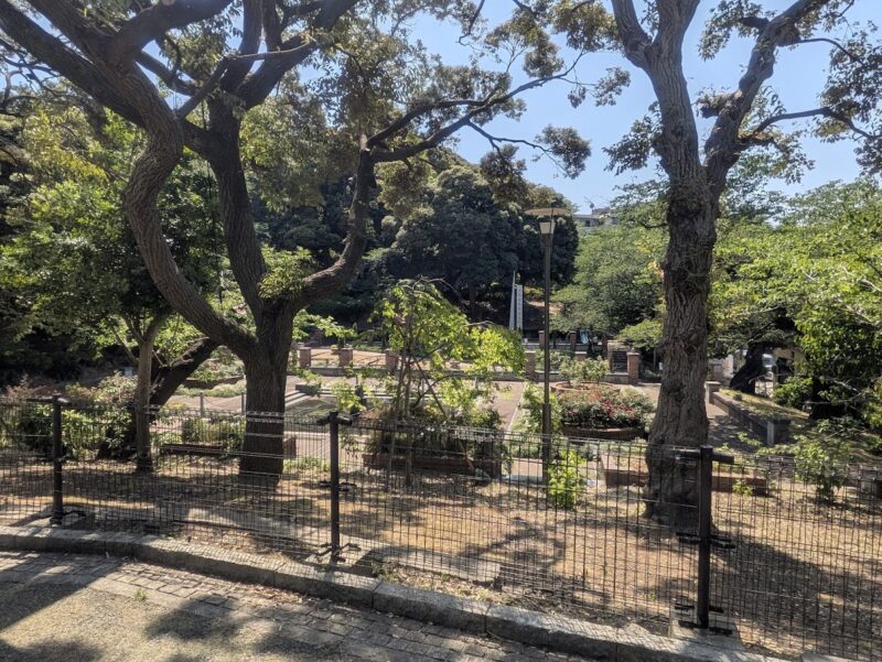 公園の写真