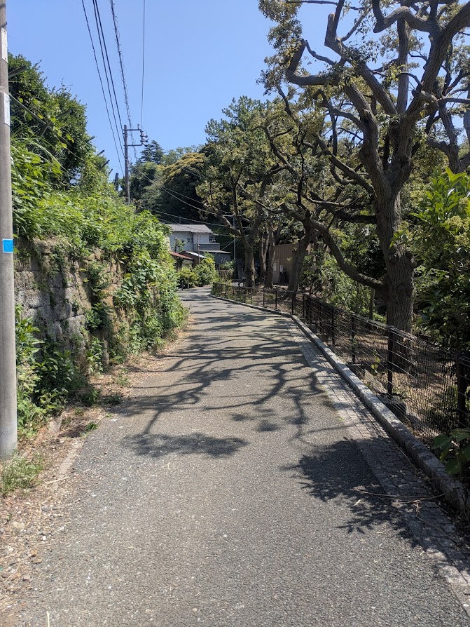 公園の写真