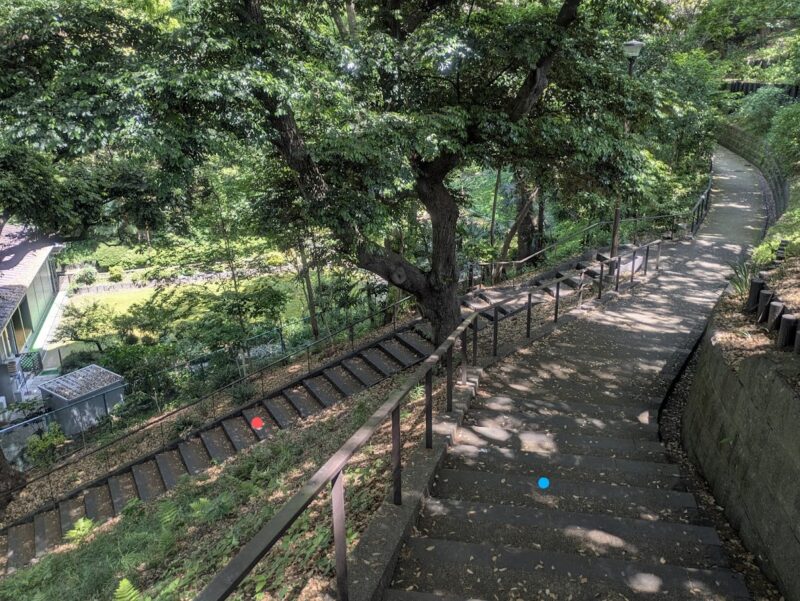 公園の写真