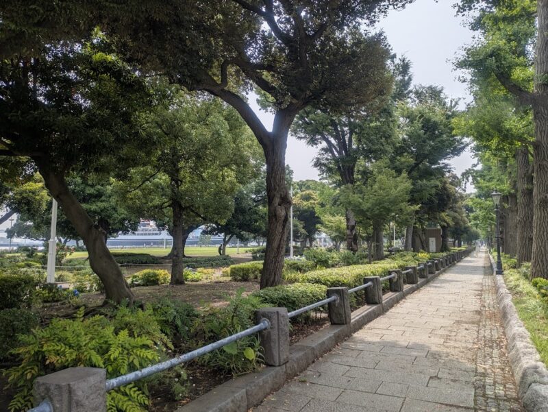 公園の写真
