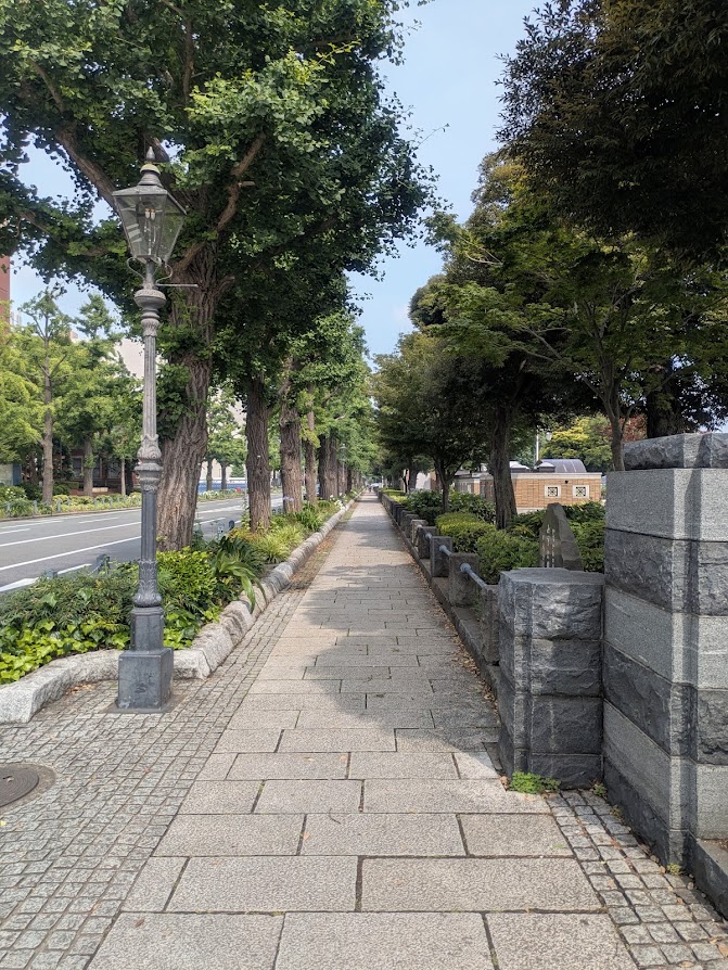 公園の写真