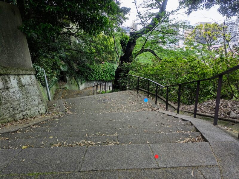 路の写真