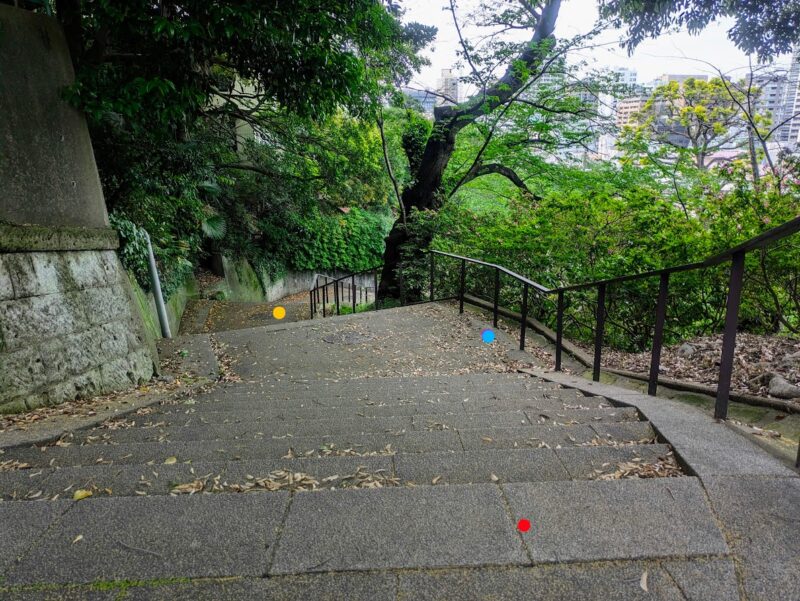 路の写真